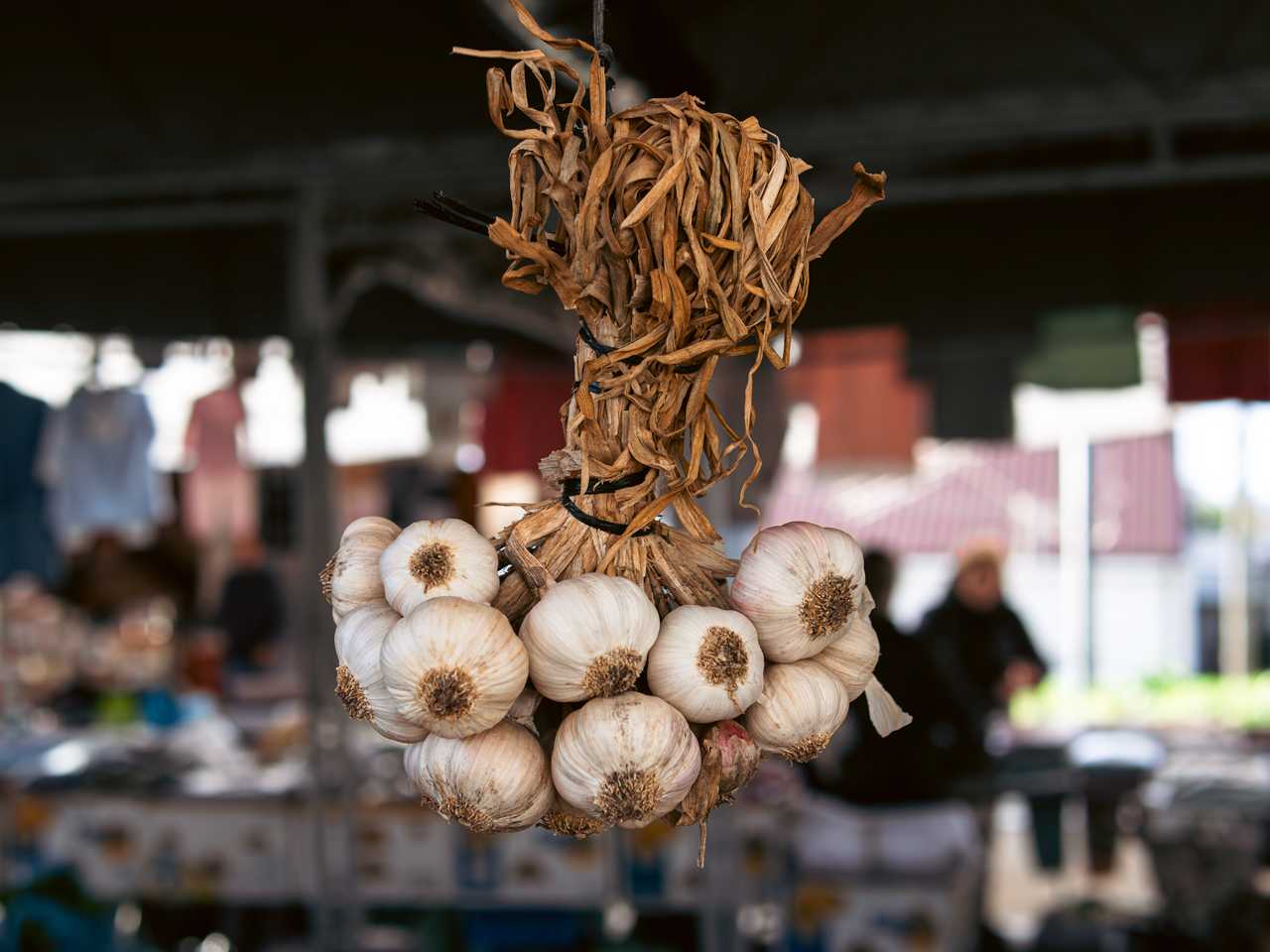 Feira da Maia