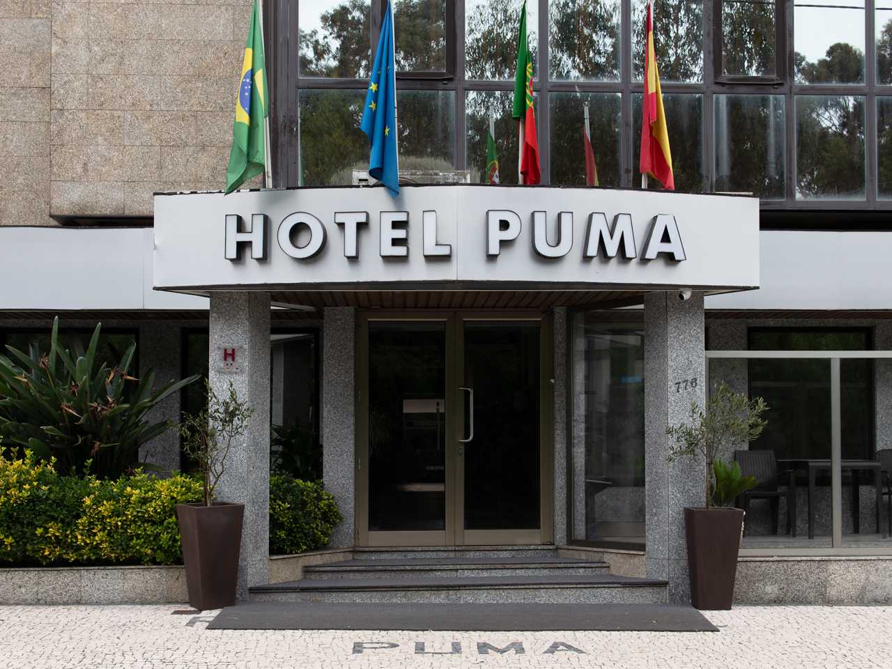 Imagem de capa de Hotel Puma