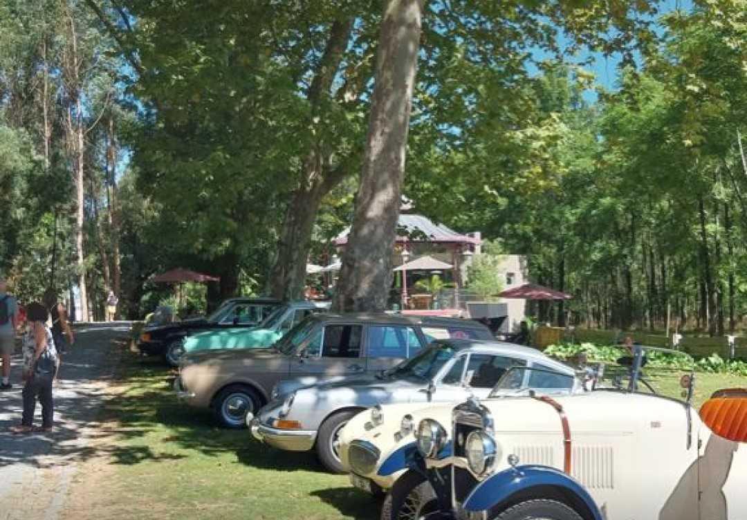 CPAA - Café com clássicos