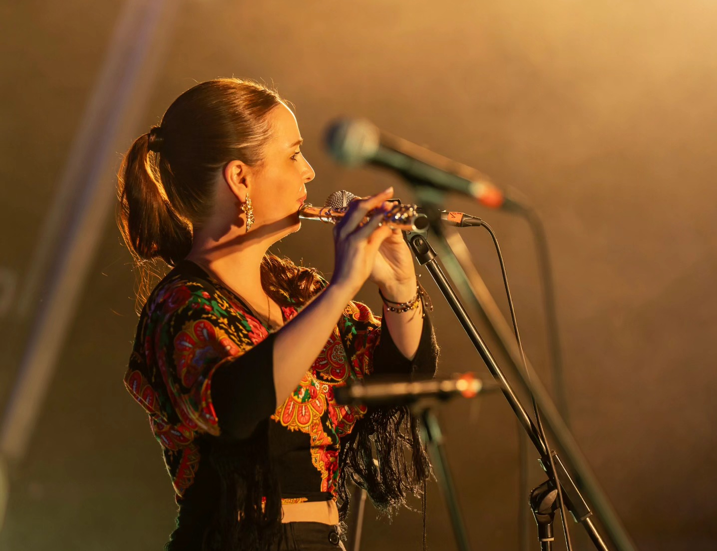 V Festival de Música Folk da Maia 2025