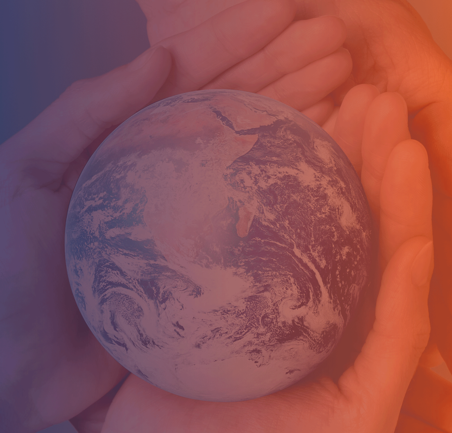 “Tricotar Compromissos de Voluntariado”