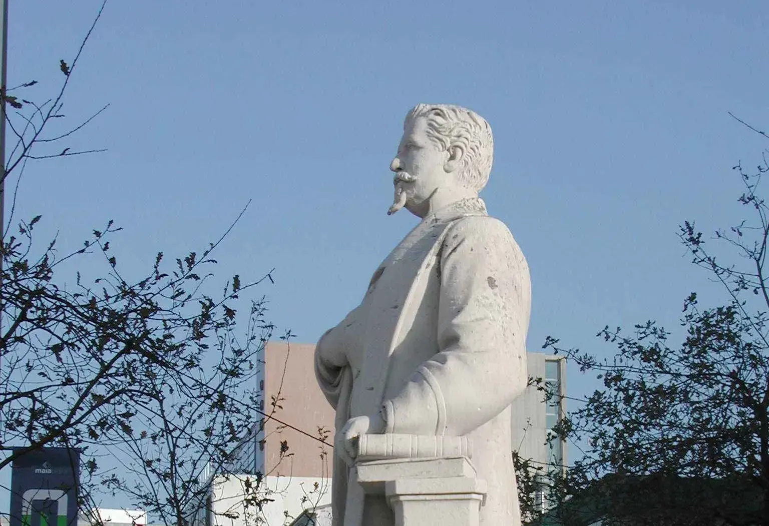 Estátua do Visconde de Barreiros 1