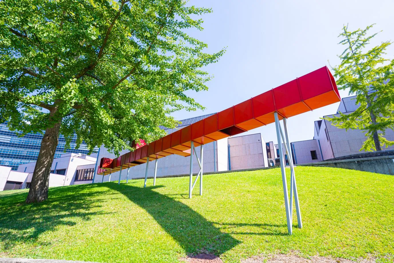 Focus - Moradavaga 1