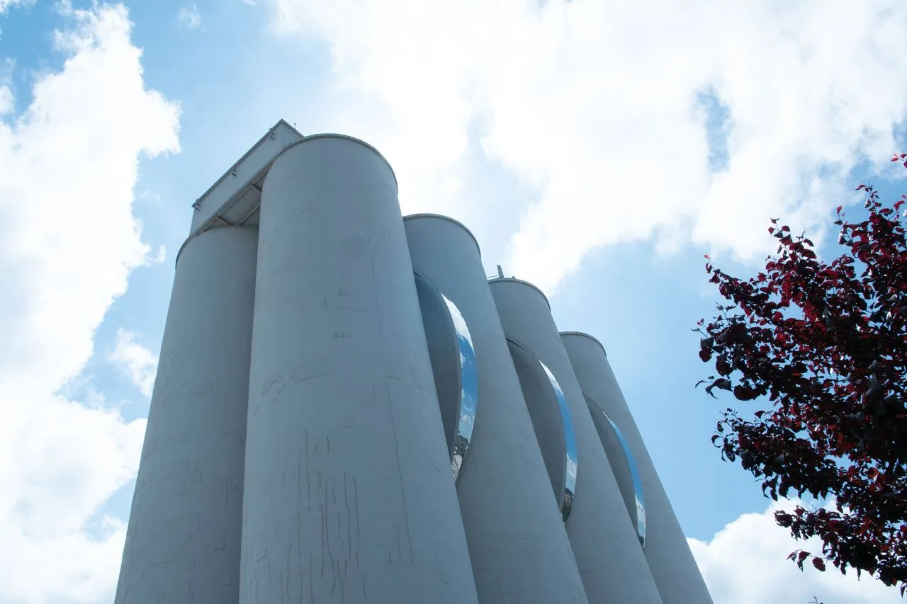 “Shaping Shape - IN-CISÕES-FORMA” 1