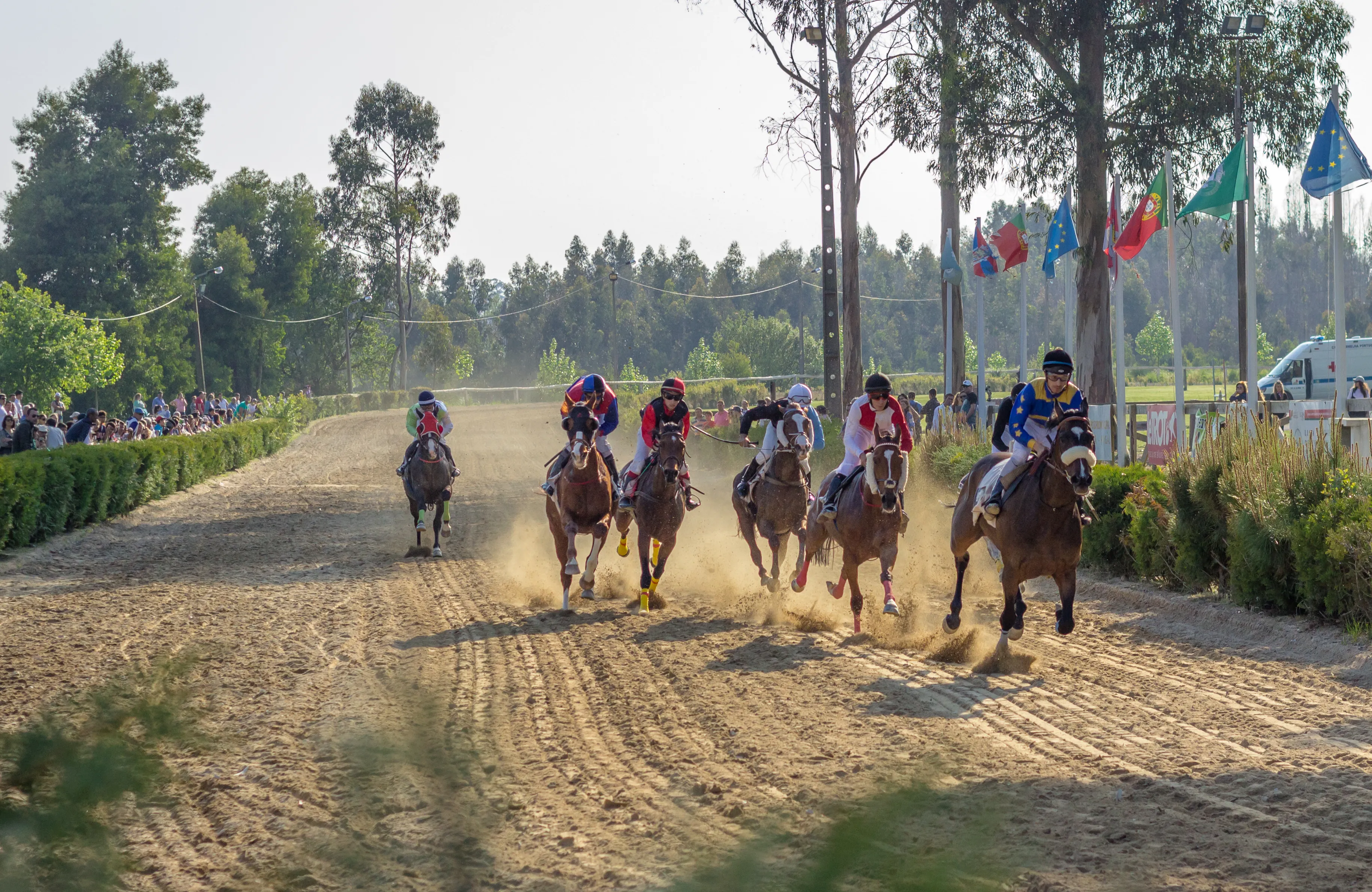 Hipódromo Municipal 1
