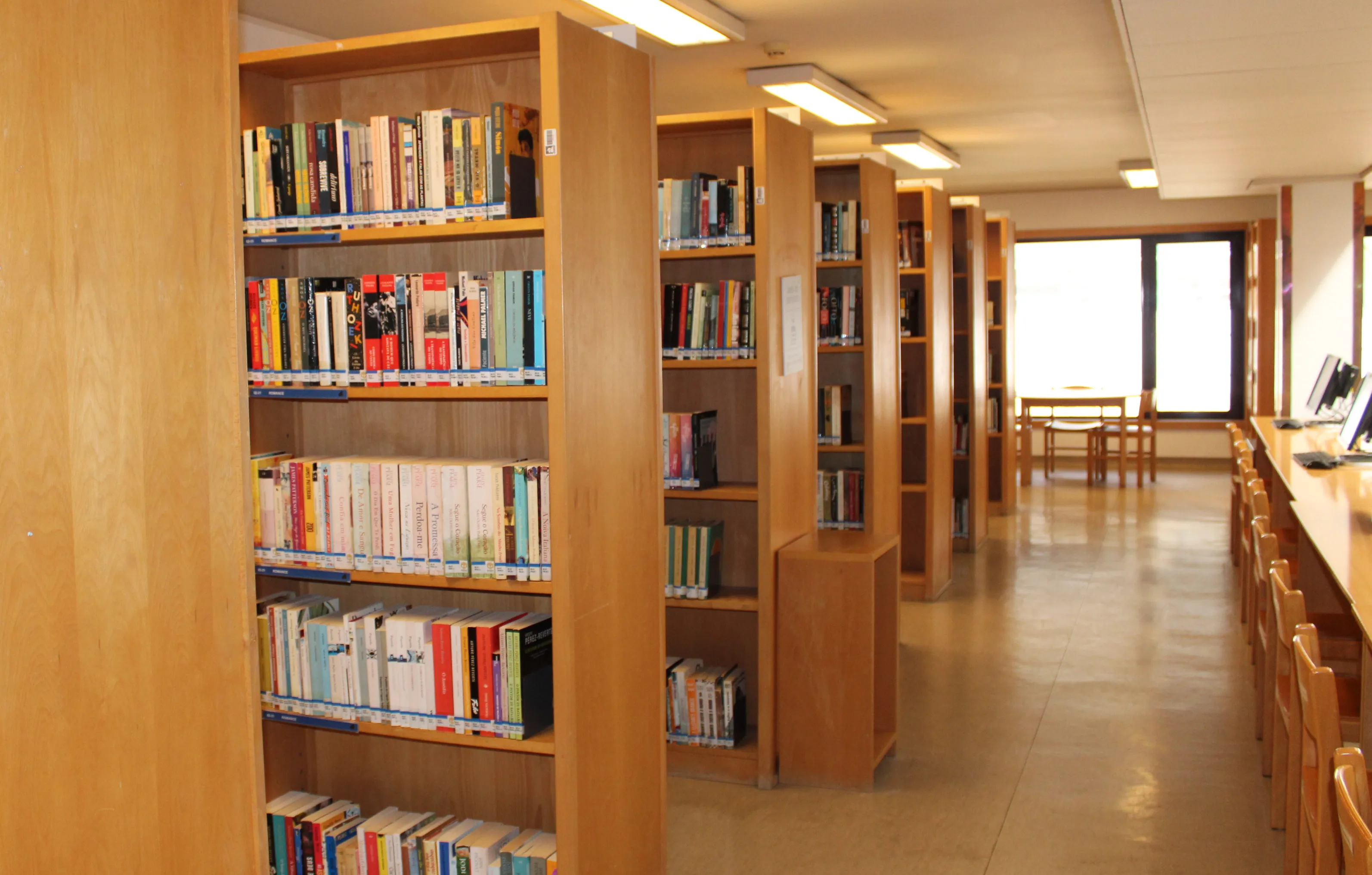 Biblioteca Municipal Dr. José Vieira de Carvalho 1