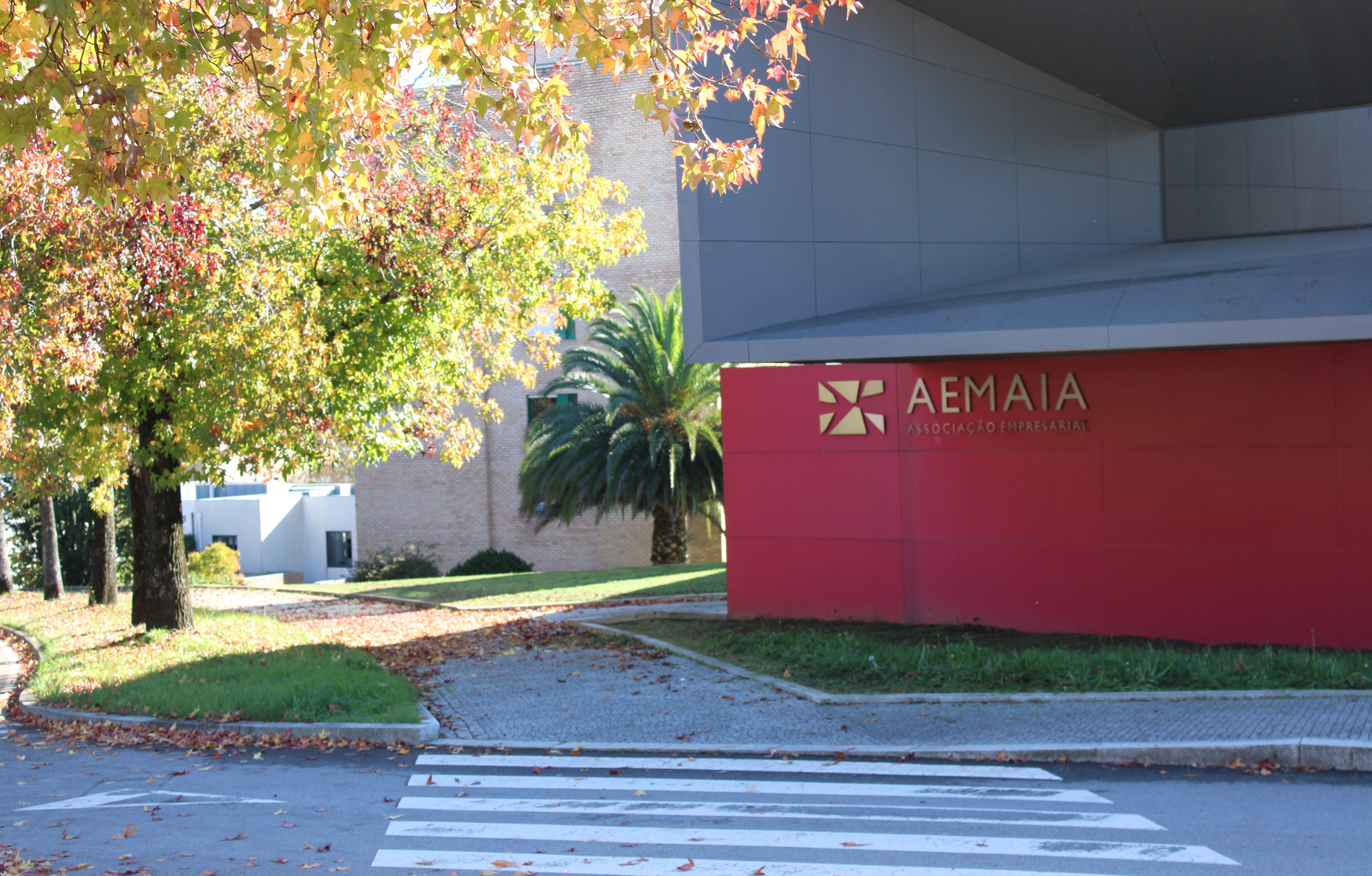 AEMaia Associação Empresarial