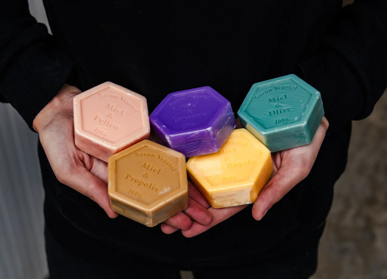 ApiQuintã Mel da Maia 1