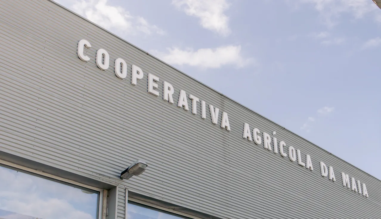 Cooperativa Agrícola da Maia 1