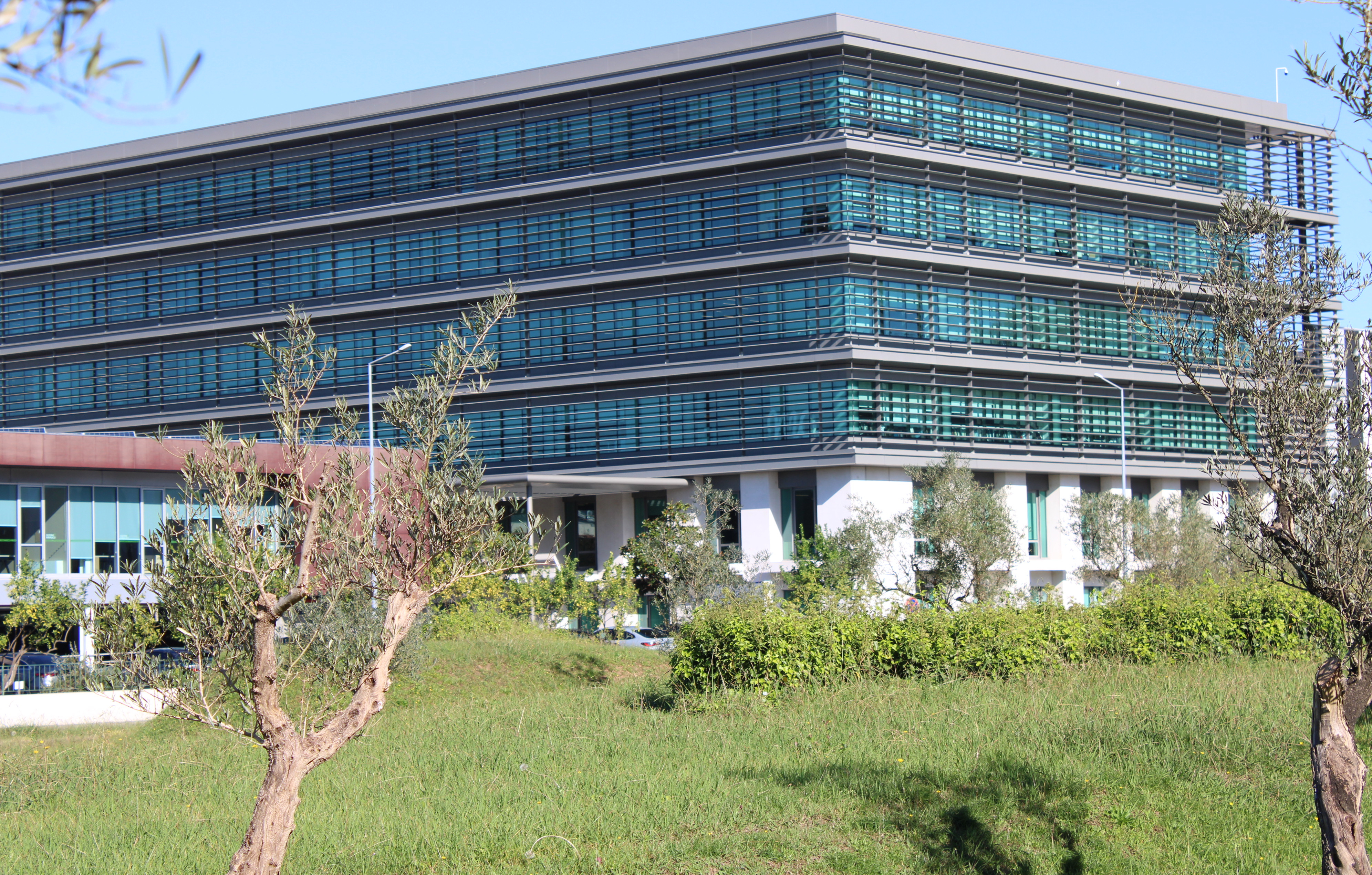 Sonae - Sociedade Nacional de Estratificados, SGPS, S.A.