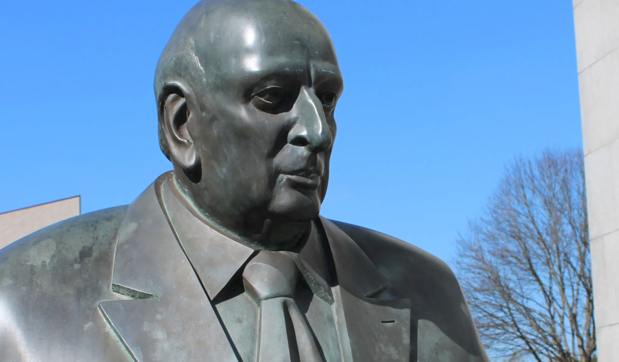 Estátua do Dr. José Vieira de Carvalho 1