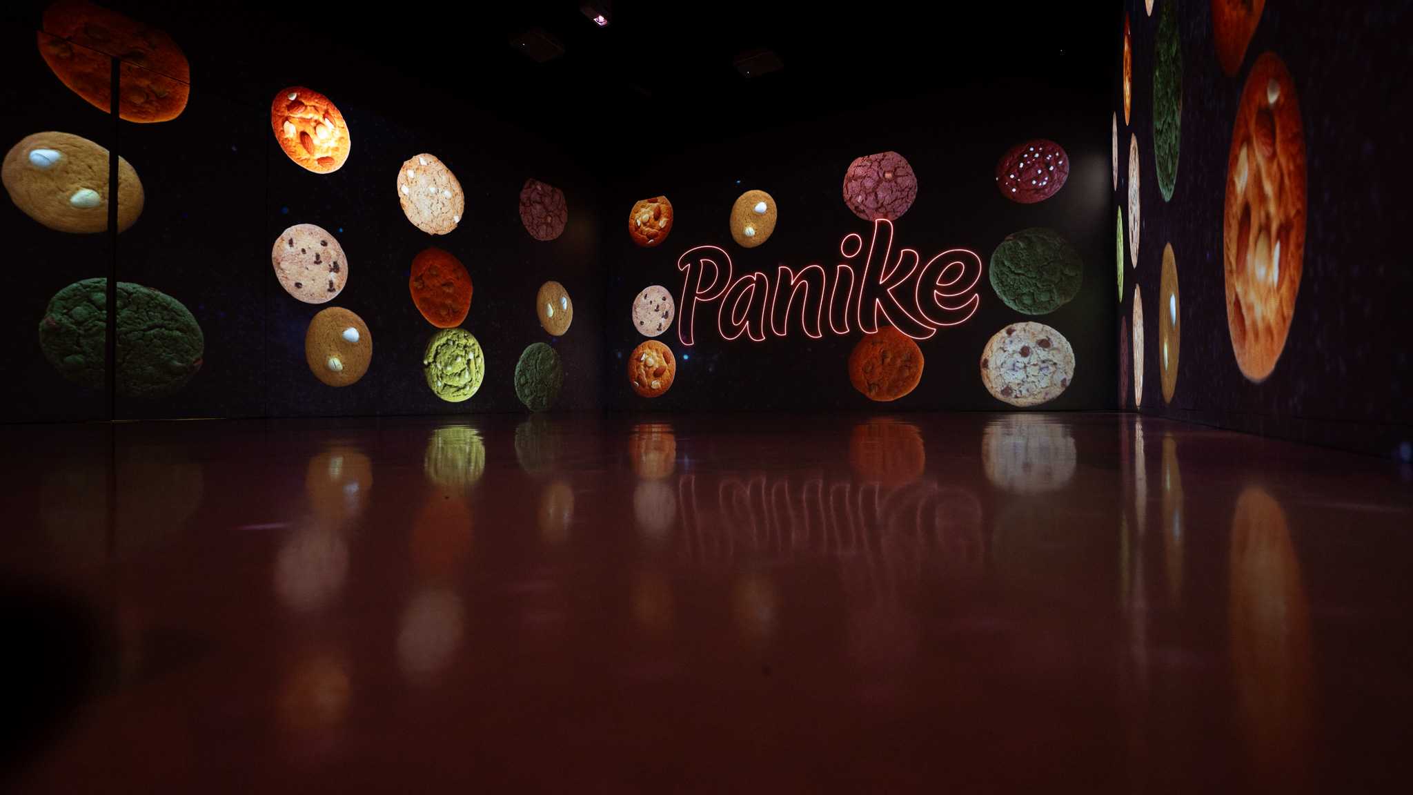 Panike - Indústria de Produtos Alimentares Congelados, S.A