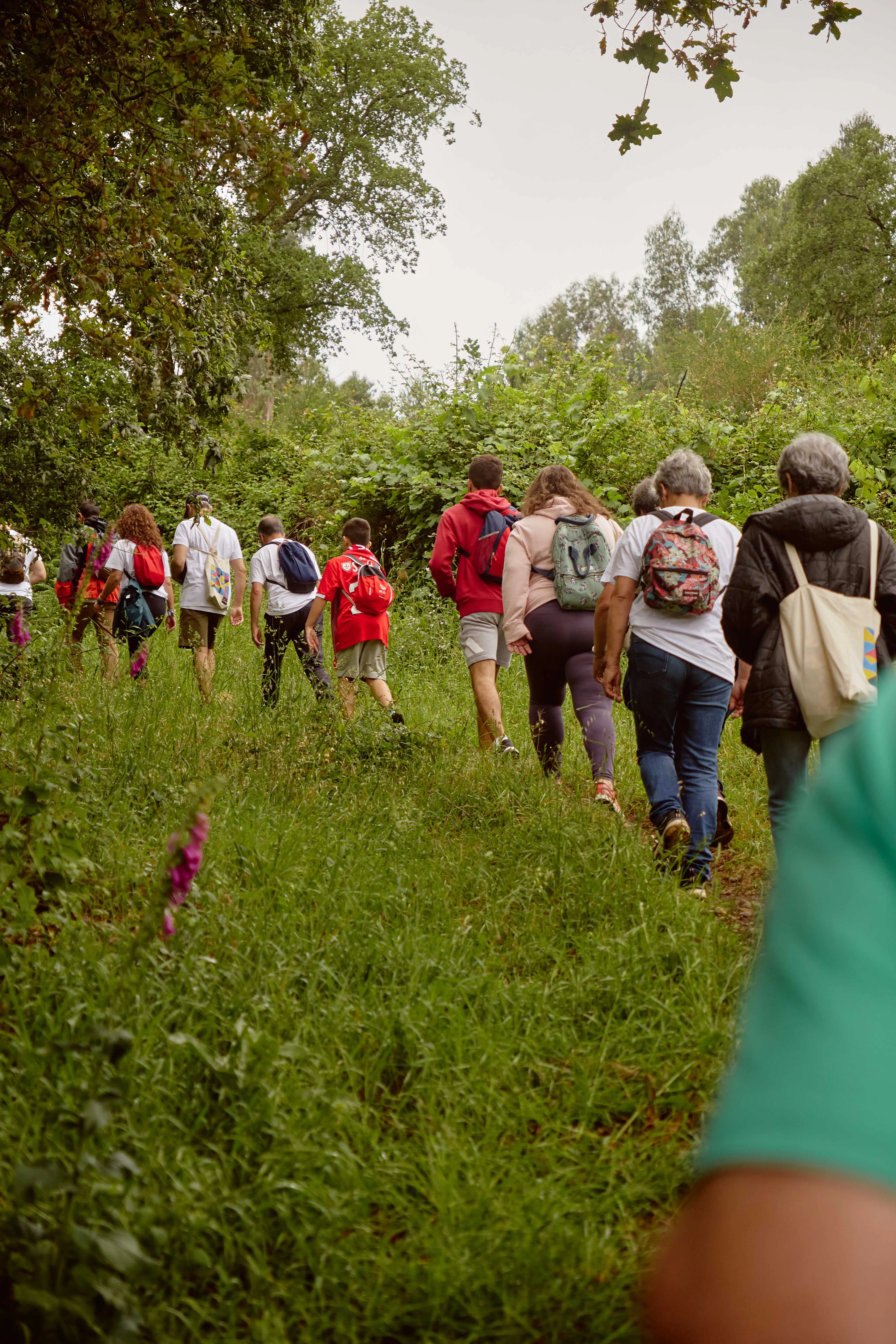 Percursos na Maia PR4- Lugares no Alto de Folgosa e S. Pedro Fins 1
