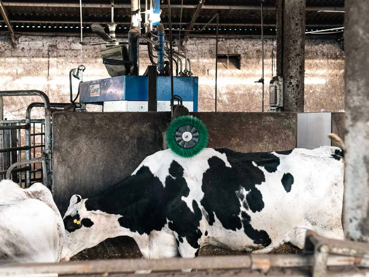 Vale de Leandro Agropecuária, Lda 8