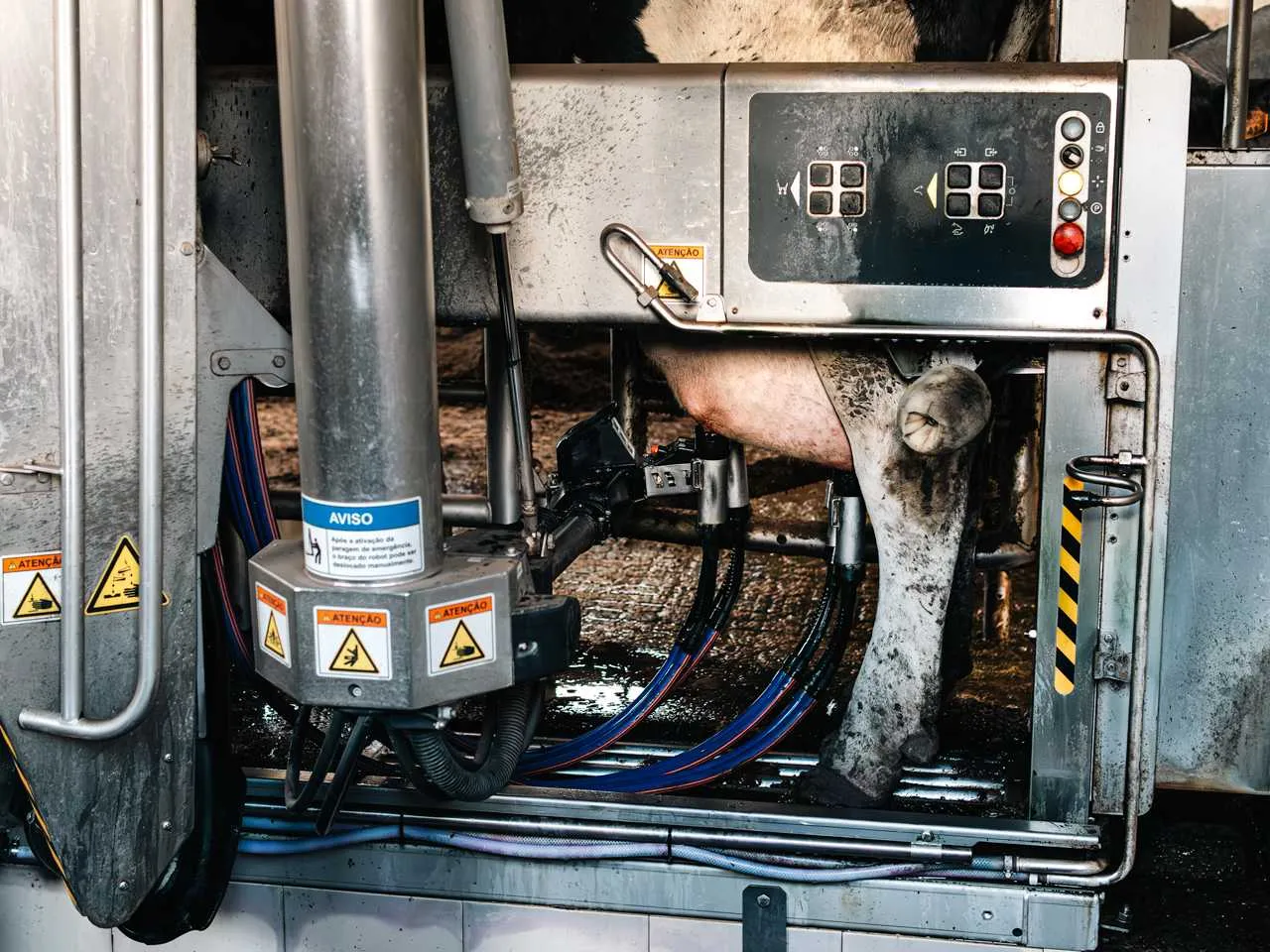 Vale de Leandro Agropecuária, Lda 9