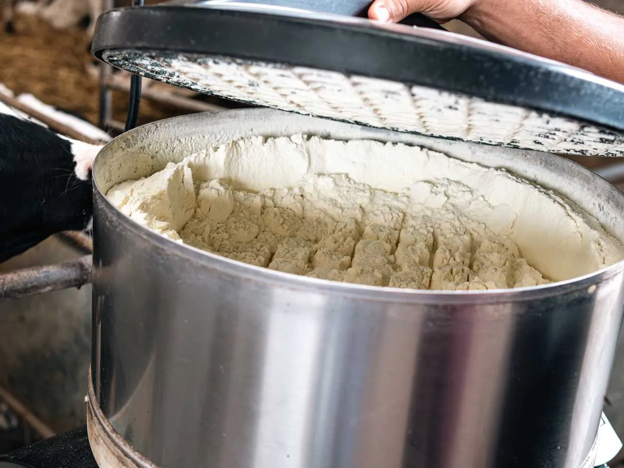 Vale de Leandro Agropecuária, Lda 7