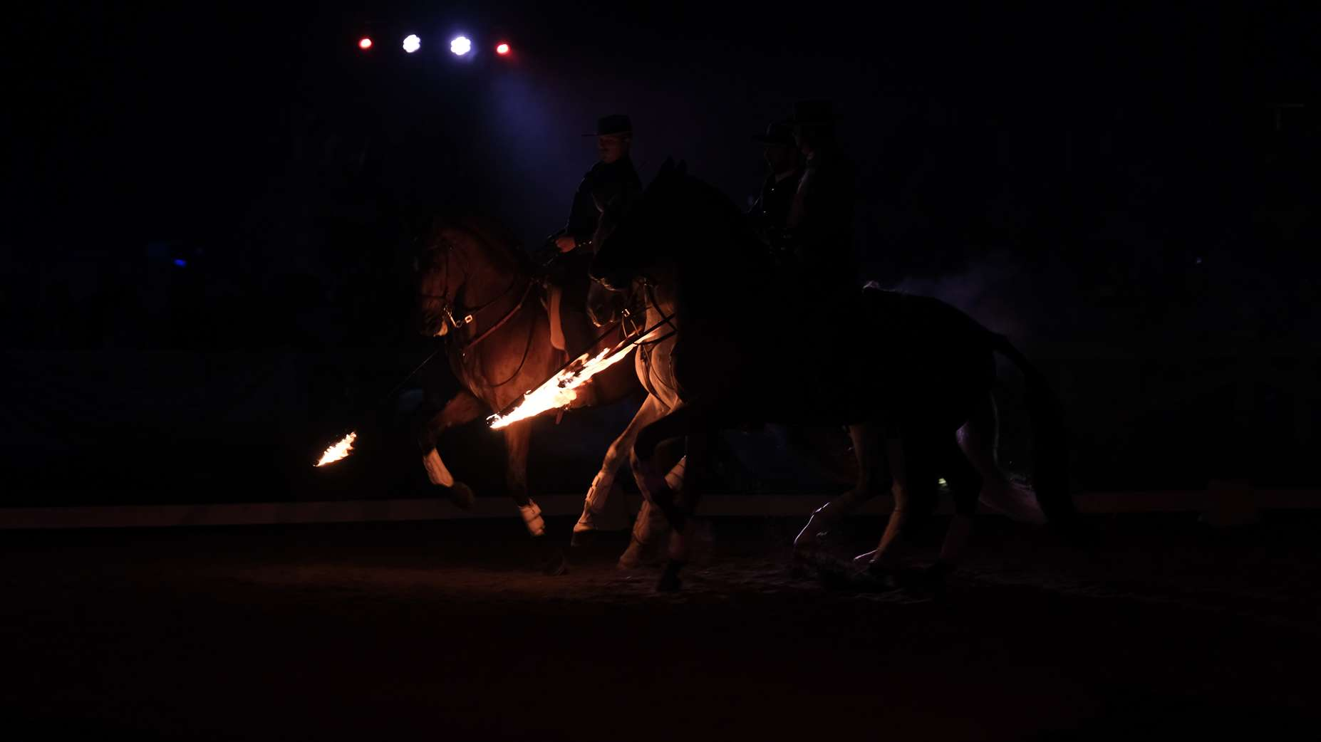 Espetáculo Equestre Miguel Fonseca